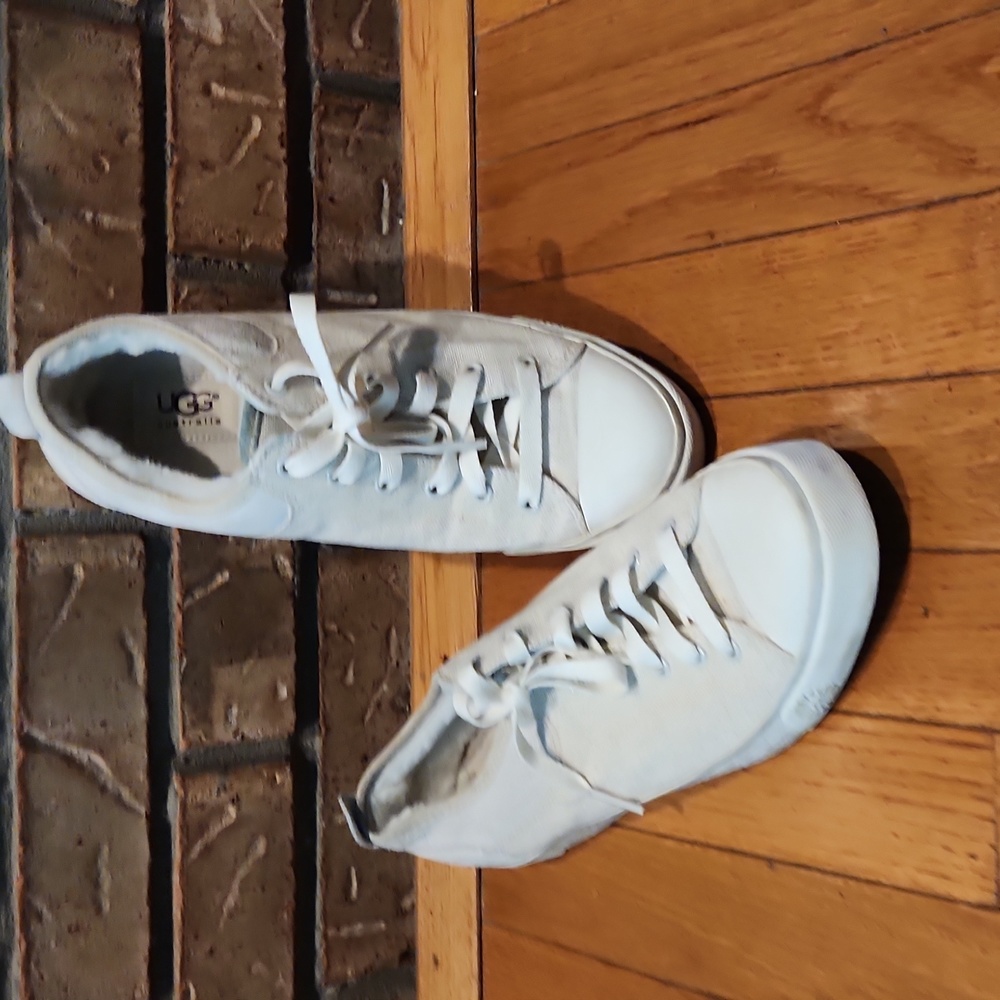 UGG Evera Canvas Sneaker
